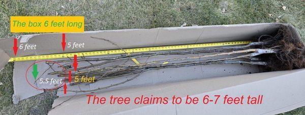 Shrubs & Trees Depot