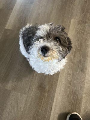 Valley West Animal Hospital