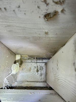 cobwebs, dirt and dust they didn't bother vacuuming or cleaning.