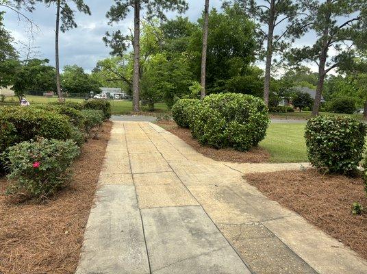 Lawn And Order Special Mowing Unit