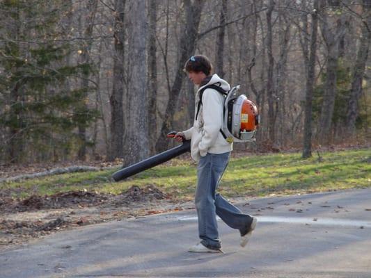 Leaf Clean up and Removal