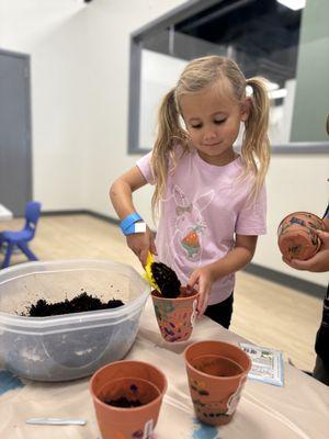 The Nestling Collective