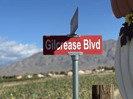 The main road on the property