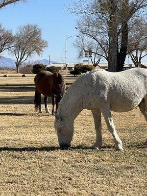 Reliable Transportation