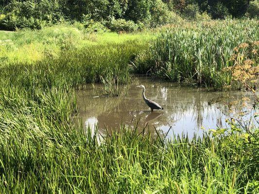 Cherry Hill Golf Course