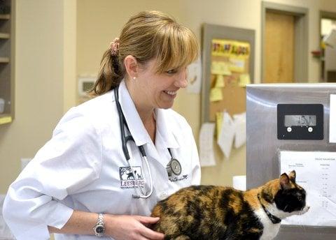 Leesburg Veterinary Hospital