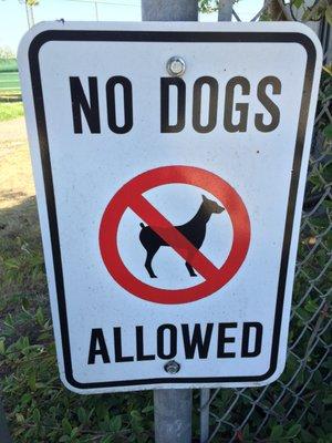 Pacific Heights Park