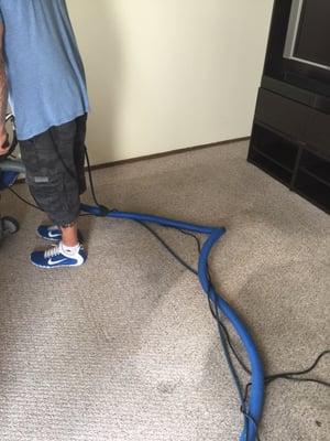 Churchill Carpet Care