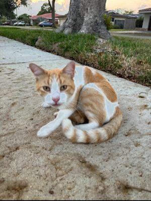 Paris De Jauna Sitters