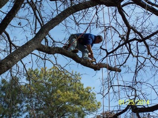 Frontier Residential Tree Service