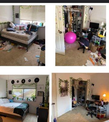 S&T Cleaning Solution