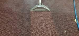 Right Choice Carpet Care