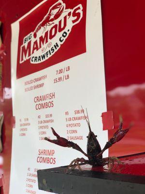 Big Mamou’s Crawfish