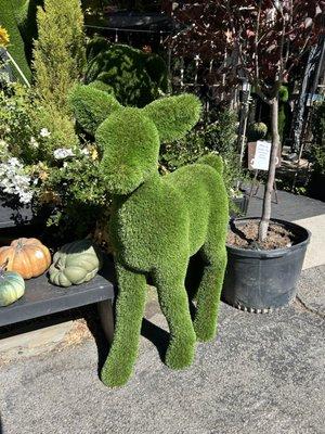 Jeannine Home Furnishings