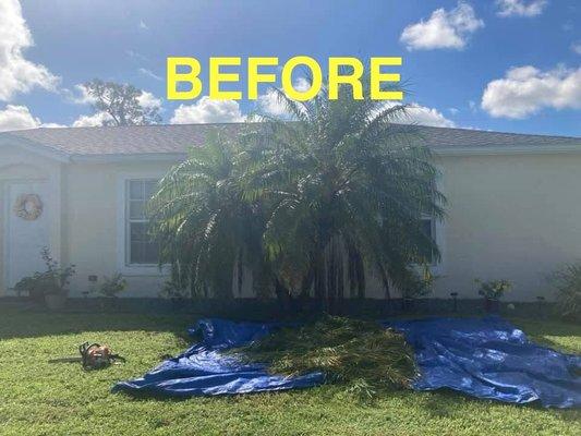 The World is Yours Lawncare & More