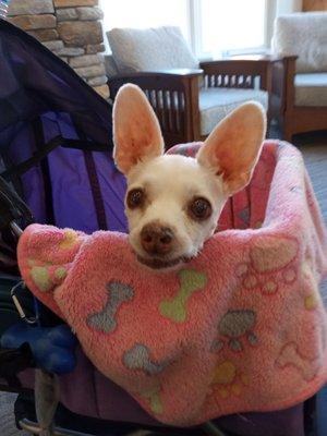 Standish Denture Center