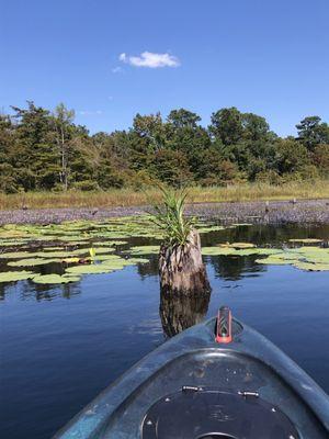 Seminole State Park
