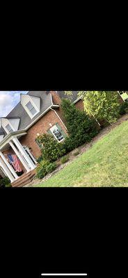 Henriques Landscapes