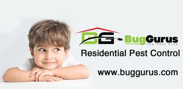 Residential Pest Control Service