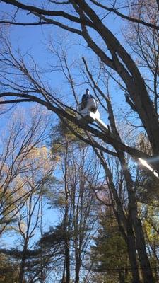 Ross Tree and Contracting, Inc