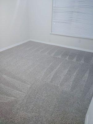 Polished Cleaning Services