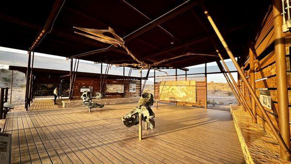 Fossil Discovery Exhibit