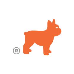 "Luke" is our mascot, a French Bulldog