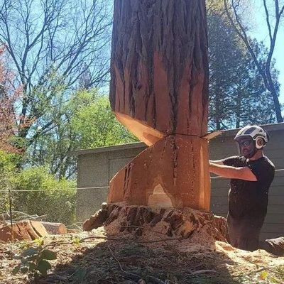 Ernie's Tree Service