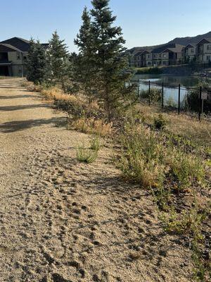 The Lakes at Lemmon Valley