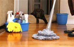Cleaning Service and Floor Care