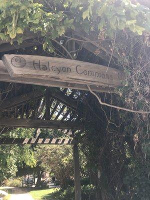 A peaceful mini-park, right across the street from my office.