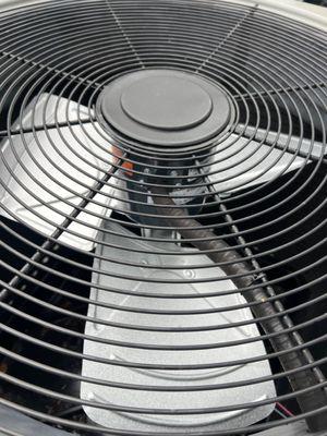 Fan motor replacement