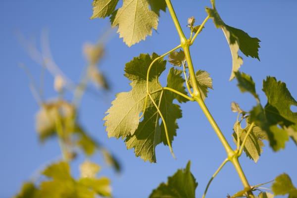 Valley Property Sales & Management