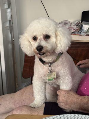 Palm Aire Animal Medical Center