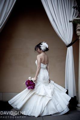 David Gene Photography