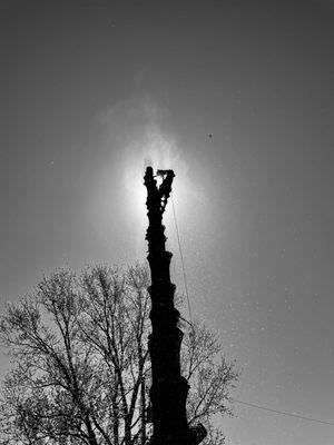 Extreme Tree Service