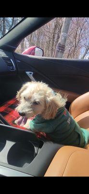 Matawan Animal Hospital