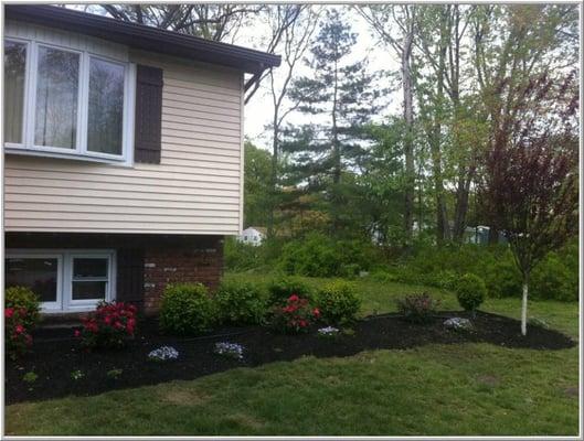 Trees Plus Tree Service