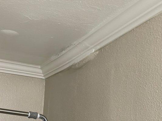 Bulge in the ceiling from burst pipe