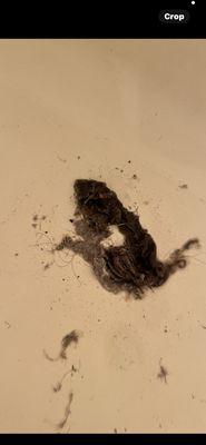 Crossings the Apartments