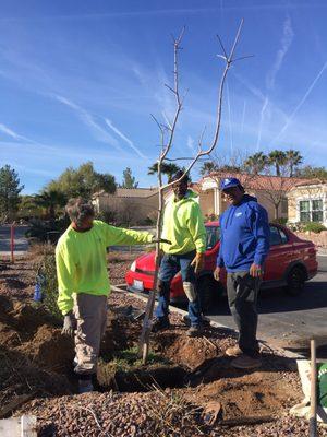 Jaramillo Landscape & Maintenance Company