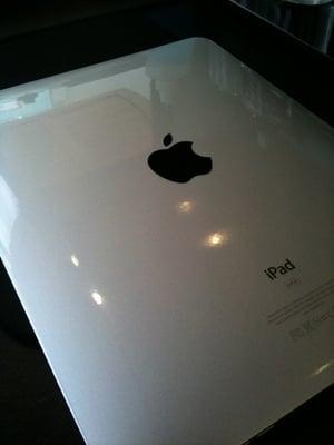 Apple iPad Back Shield