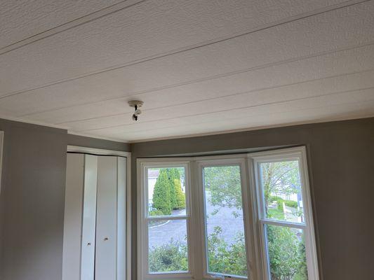 Troy Schwotzer Painting