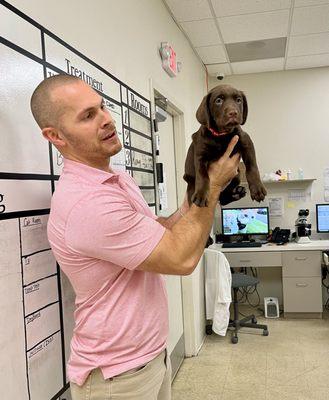Puppy Wellness Visits with Dr. Tkac!