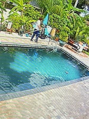 See the light lime green in the water that was day 1 it happened .