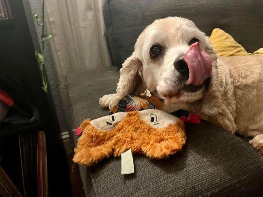 Whiskers & Paws Pet Sitting