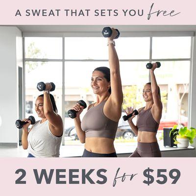 New Student Offer! 2 weeks of unlimited classes for $59! Offer valid in 2024