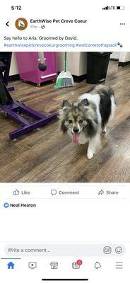 EarthWise Pet Supply & Grooming Creve Coeur