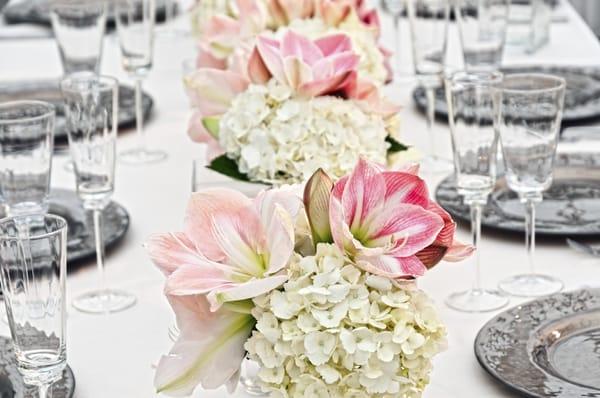 Lindsy Steinberg Events