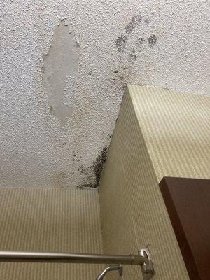 Windsor Inn & Suites